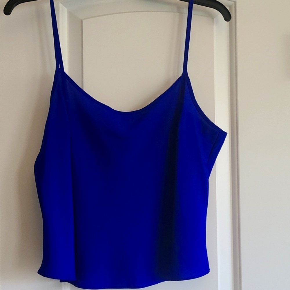 Blue DKNY crop top